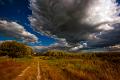 560 - FOREST ROAD - VUKIC TOMISLAV - croatia